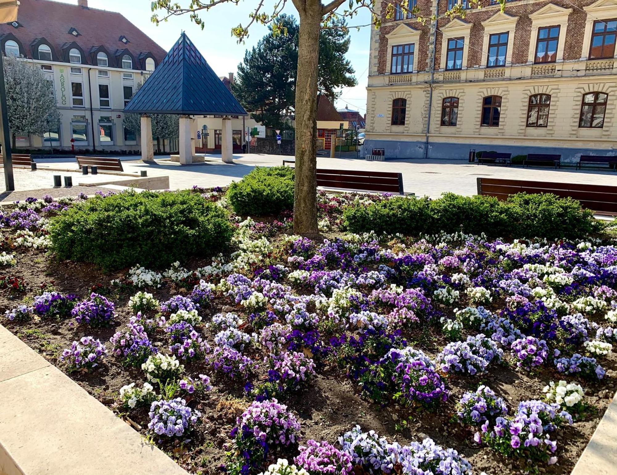 Ciao Lilla Apartman Keszthely Buitenkant foto